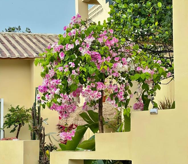 海亲子游5天4晚价格跟团五日游报价冰球突破北海亲子跟团游多少钱？北(图5)